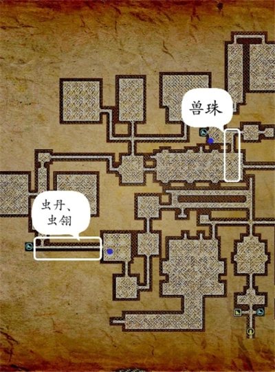 长生劫