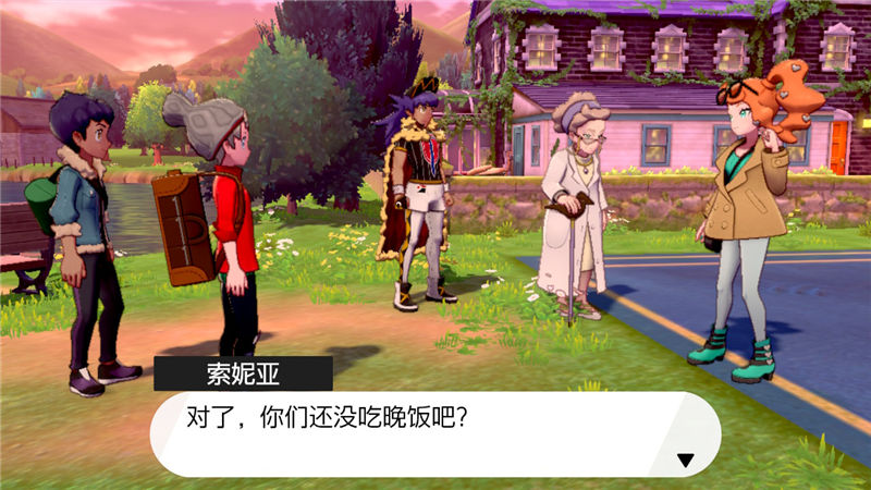 精灵宝可梦剑盾