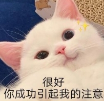 爆款预定!审美在线不说还有高自由的个性玩法,她们好懂啊!