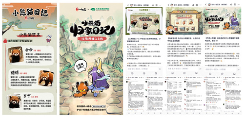 《传说中的合合岛》认养濒危小熊猫，用游戏传播公益正能量