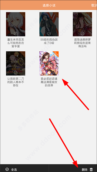 菠萝包轻小说