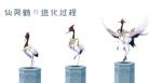QQ飞车手游宠物仙灵鹤怎么得