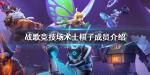 战歌竞技场术士阵容搭配