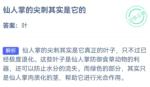 蚂蚁庄园9月13日答案最新2022 仙人掌