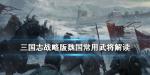 三国志战略版魏国阵容 魏国热门武将解析