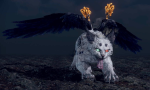 仁王2平安京讨魔传白虎怎么打