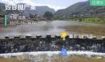 犯罪大师毁容抛尸案凶手是谁